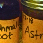 Insect Blues? Natural Herbal Antihistamine to the Rescue!